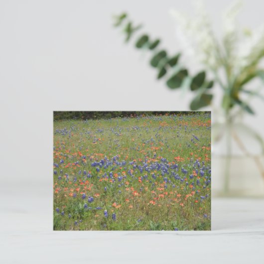 Texas Wildflower Briefkaart (Staand voorkant)