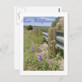 Texas Wildflower Briefkaart (Voorkant / Achterkant)