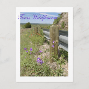 Texas Wildflower Briefkaart