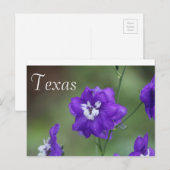 Texas Wildflower Briefkaart-Paarse Wildflower Briefkaart (Voorkant / Achterkant)