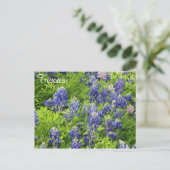 Texas Wildflower Briefkaart-Texas Bluebonnets Briefkaart (Staand voorkant)