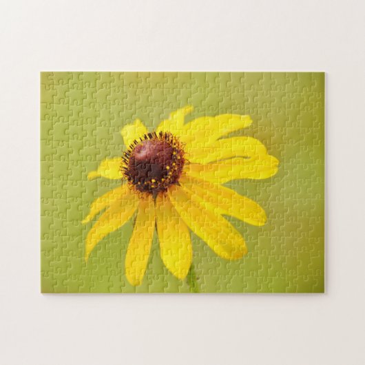 Texas Wildflower Coneflower Art Zonneschijn Puzzel (Horizontaal)