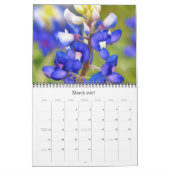 Texas Wildflower Fotokalender Kalender (Mar 2027)