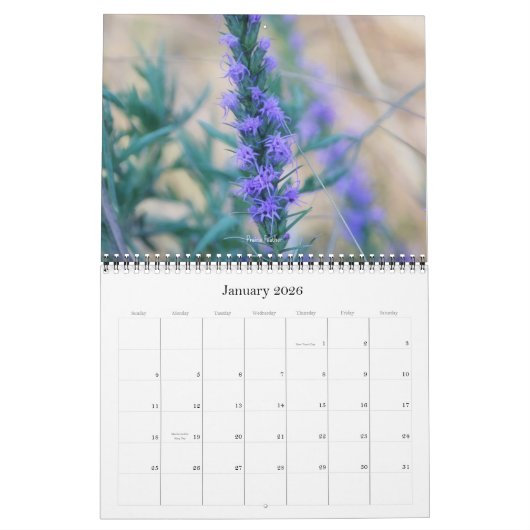 Texas Wildflower Fotokalender Kalender (Jan 2026)