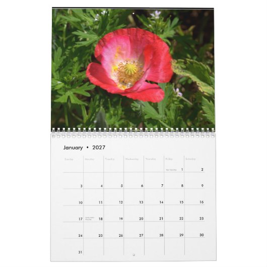 Texas Wildflower Kalender (Jan 2027)