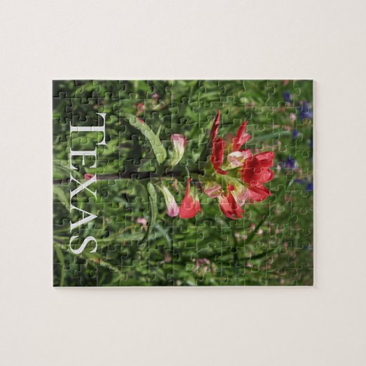 Texas Wildflower Legpuzzel (Horizontaal)