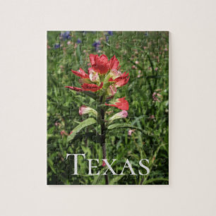 Texas Wildflower Legpuzzel