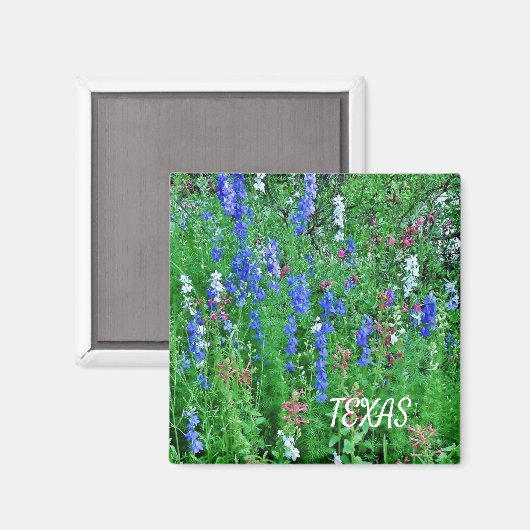 Texas Wildflower Magnet (Voorkant / Achterkant)