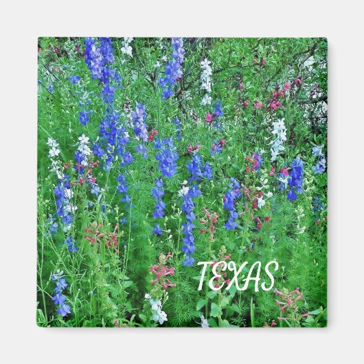 Texas Wildflower Magnet (Voorkant)