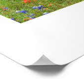 Texas Wildflower Poster (Hoek)