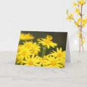 Texas Wildflower: Vroege lente Golden Ragwort Kaart (Gele Bloem)