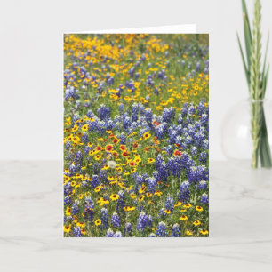 Texas Wildflowers door Cynthia Wenslow Kaart
