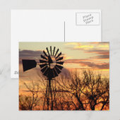 Texas windmolenzonsonderstel briefkaart (Voorkant / Achterkant)