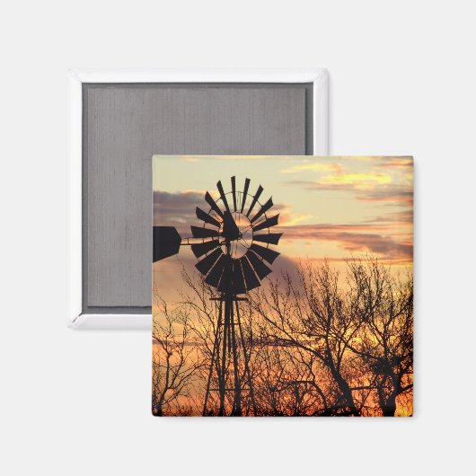 Texas windmolenzonsonderstel magneet (Voorkant / Achterkant)