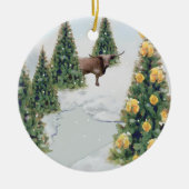 Texas Winter-versiering Keramisch Ornament (Voorkant)