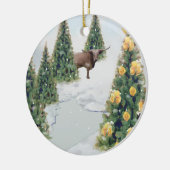 Texas Winter-versiering Keramisch Ornament (Links)