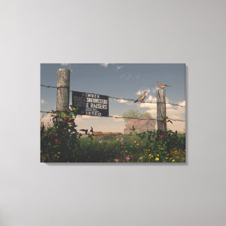 Texas zomer 2 canvas afdruk