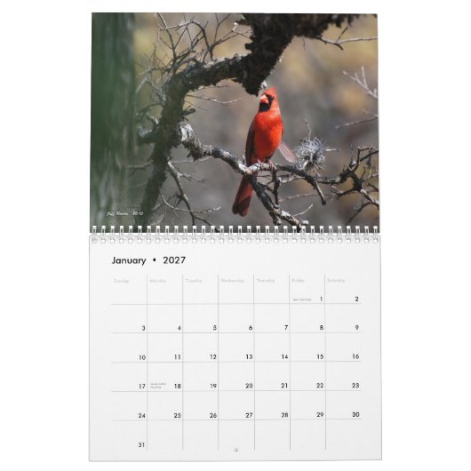 Texas'Natural Beauty 2011 Kalender (Jan 2027)