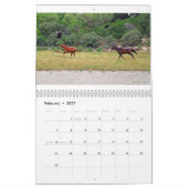 Texas'Natural Beauty 2011 Kalender (Feb 2027)