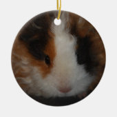 Texel Guinea Pig-sierplant Keramisch Ornament (Voorkant)