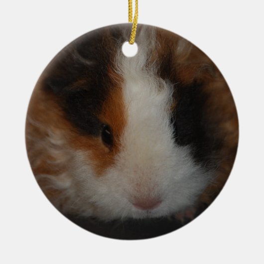 Texel Guinea Pig-sierplant Keramisch Ornament (Voorkant)