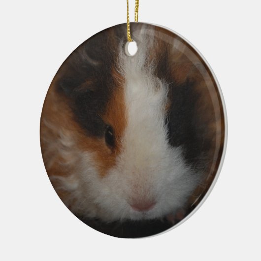 Texel Guinea Pig-sierplant Keramisch Ornament (Links)