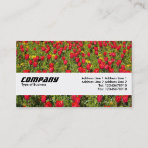 Textielband - Tulpen II Visitekaartje