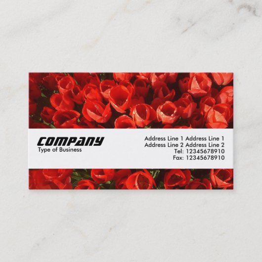 Textielband - Tulpen Visitekaartje (Voorkant)