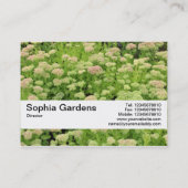 Textielband V2 - Blauw najaar Visitekaartje (Achterkant)