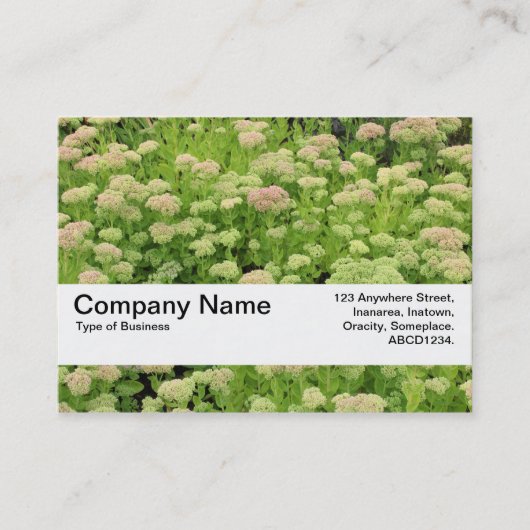 Textielband V2 - Blauw najaar Visitekaartje (Voorkant)