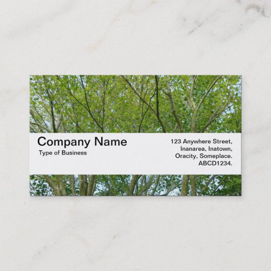 Textielband V2 - Japanse map Visitekaartje (Voorkant)