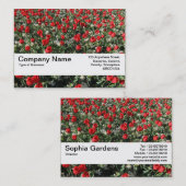 Textielband V2 - Rode Tulpen en primrozen Visitekaartje (Voorkant / Achterkant)