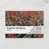 Textielband V2 - Rode Tulpen en primrozen Visitekaartje (Achterkant)