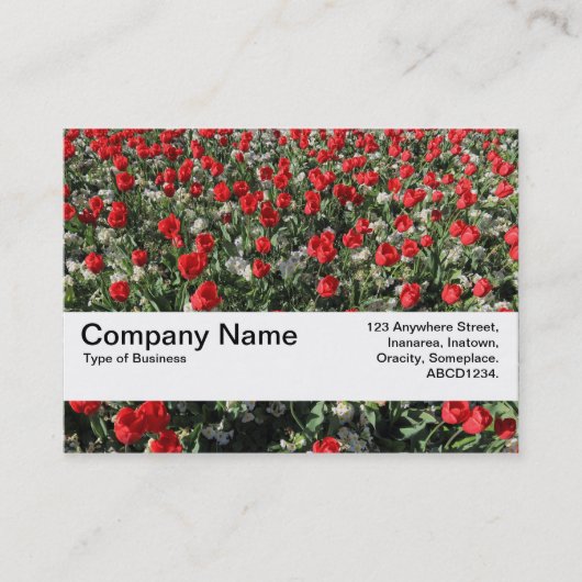 Textielband V2 - Rode Tulpen en primrozen Visitekaartje (Voorkant)