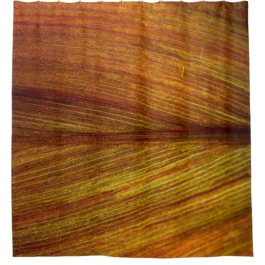 Textielblad natuur botany macro douchegordijn (Voorkant)