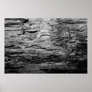 Textielboom, zwart-wit poster