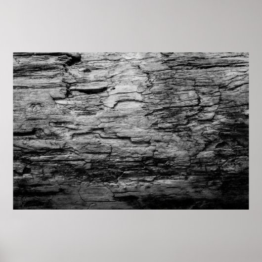 Textielboom, zwart-wit poster (Voorkant)