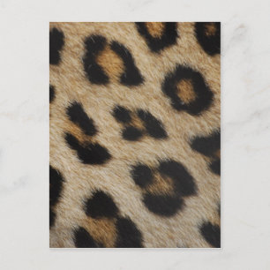 Textielpatroon van leopard Fur Briefkaart