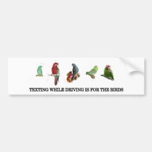 Texting terwijl het Drijven van Bumpersticker