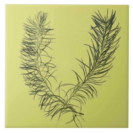 Textural Treasure of Summer op een keramische Tege Tegeltje (Voorkant)