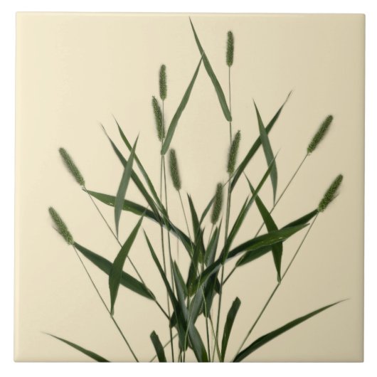 Textural Treasures of Summer op een keramische Teg Tegeltje (Voorkant)