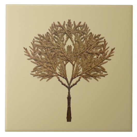 Textural Treasures of Winter on Ceramic Tile - D1 Tegeltje (Voorkant)