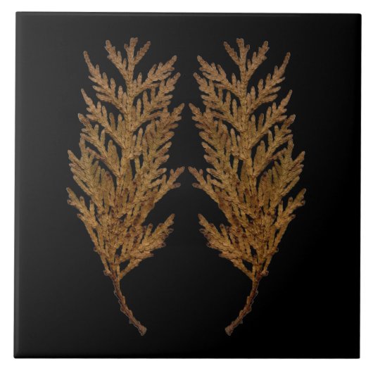 Textural Treasures of Winter on Ceramic Tile - D4 Tegeltje (Voorkant)