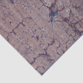 Texture Brown Grunge Antiek Rustic Tissuepapier (Detail)