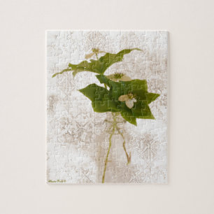 Textured Dogwood Bunch Berry Legpuzzel