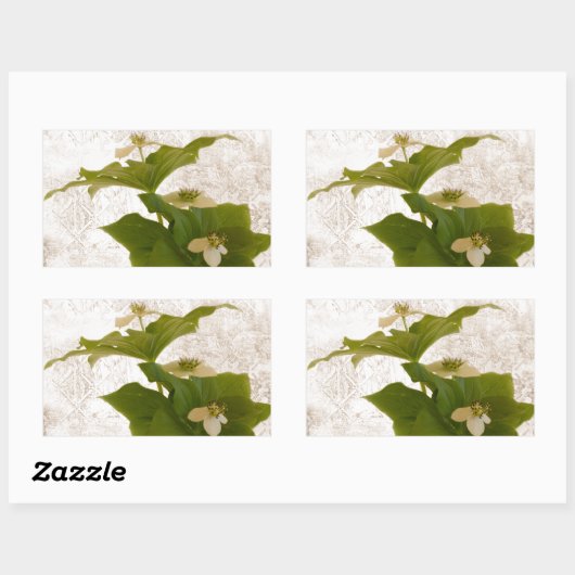 Textured Dogwood Bunch Berry Rechthoekige Sticker (Vel)