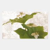 Textured Dogwood Bunch Berry Rechthoekige Sticker (Voorkant)