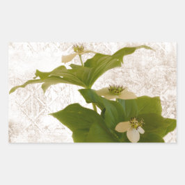 Textured Dogwood Bunch Berry Rechthoekige Sticker