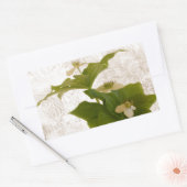 Textured Dogwood Bunch Berry Rechthoekige Sticker (Envelop)