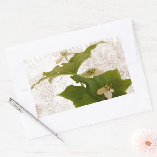 Textured Dogwood Bunch Berry Rechthoekige Sticker (Envelop)